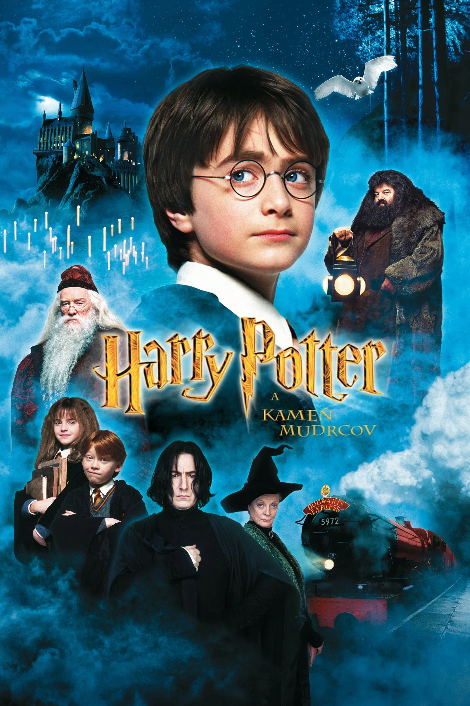 Plagát filmu: Harry Potter a Kameň mudrcov - 25. Výročie